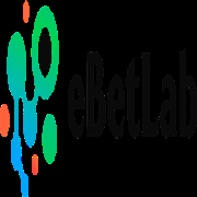 betesbet Yeni Giriş Adresi